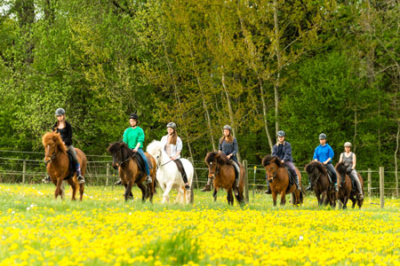 Kinder reiten in der Natur